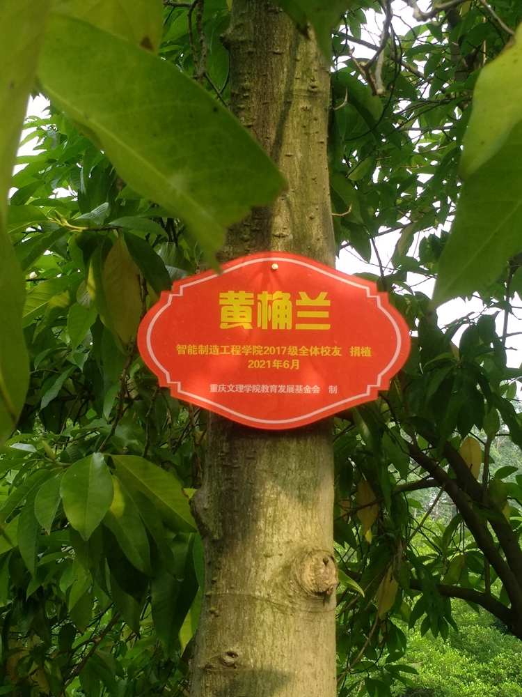 员工树.jpg