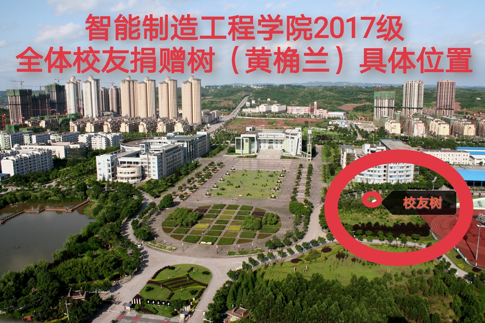 员工树-照片.jpg